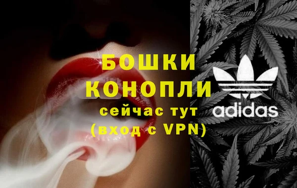 ГАЛЛЮЦИНОГЕННЫЕ ГРИБЫ Богородск